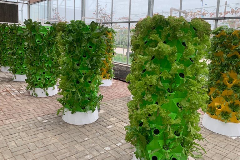 Hydroponic Tower Garden