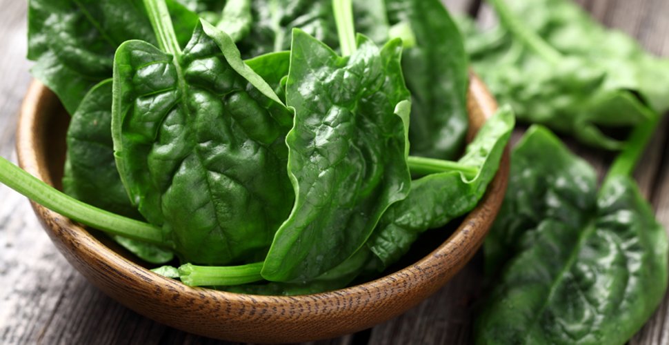 how long does spinach take to grow hydroponically