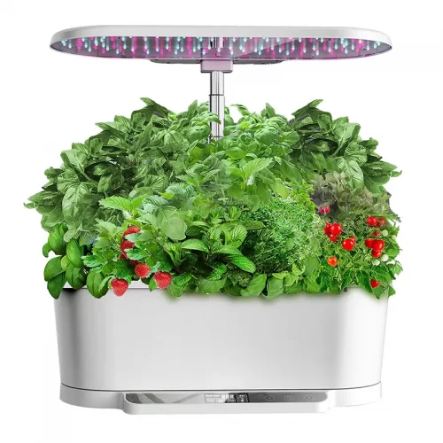 indoor-hydroponic-vegetable-garden