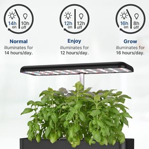 hydroponic home kit