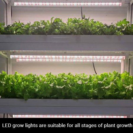 hydroponic tower garden with lights