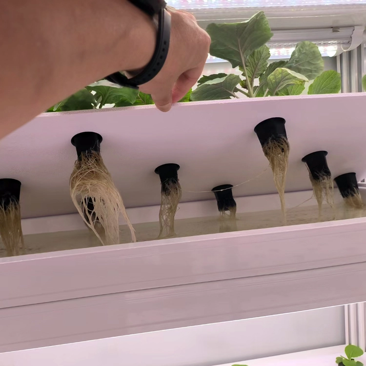 hydroponic vertical garden ideas