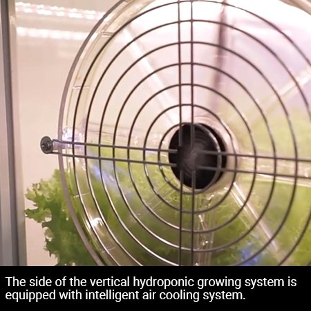 indoor farming hydroponics