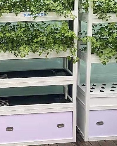 indoor hydroponics garden wall