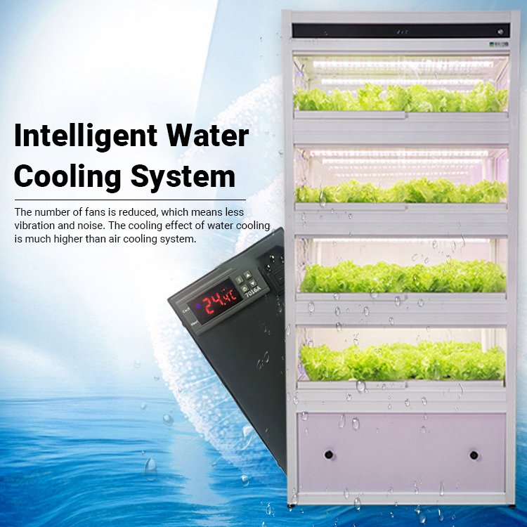 vertical farming hydroponics system
