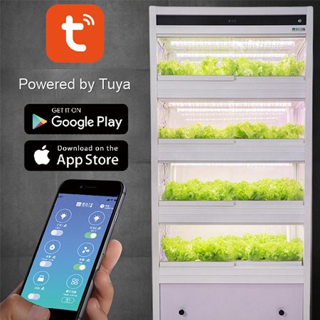 vertical farming with hydroponics