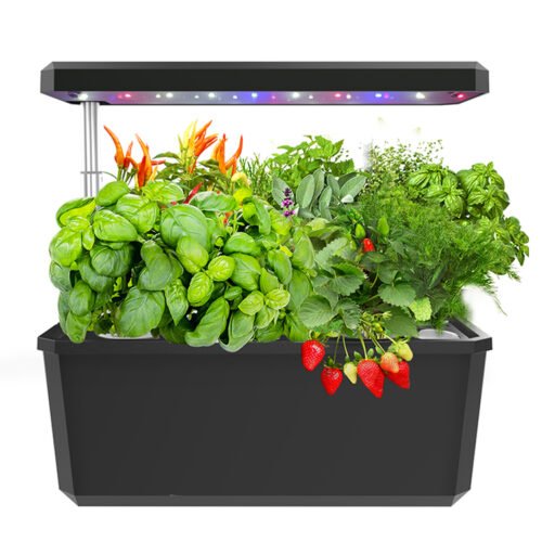 Indoor-Gemüsegarten-System