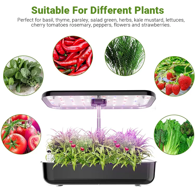 zavlažovací systém zeleninové zahrady
