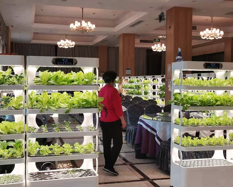 minifarm hydroponic indoor vertical garden