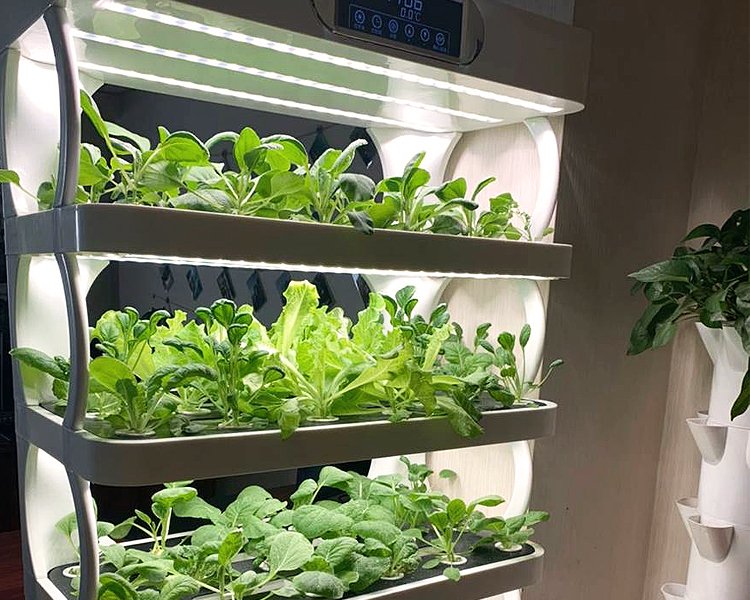 vertical hydroponic vegetable gardens