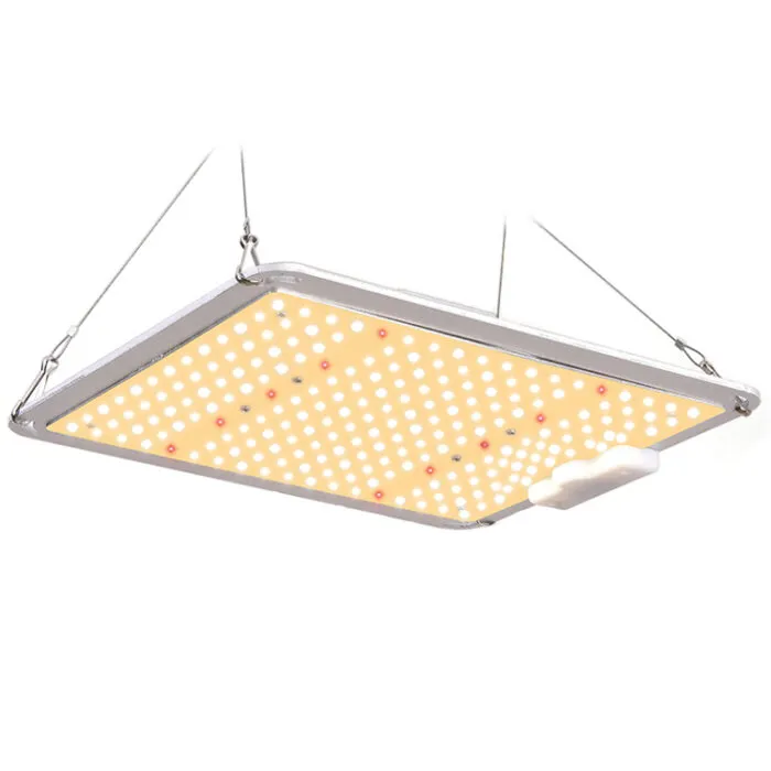 la scheda quantistica LED coltiva la luce