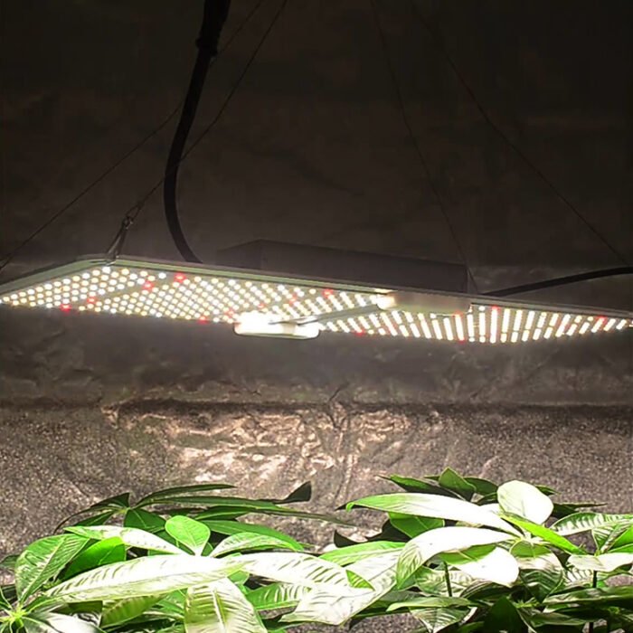 サムスンのLED植物育成ライト