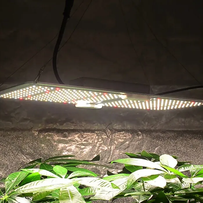 삼성 LED 성장등