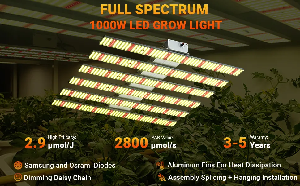 Luce idroponica da 1000 watt