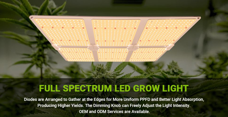 600w led grow light