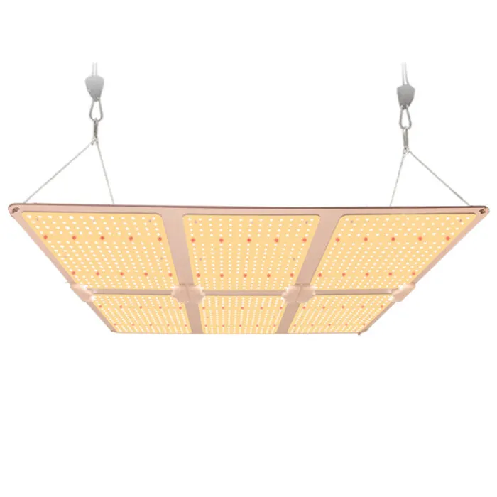 مصنع LED ينمو الضوء