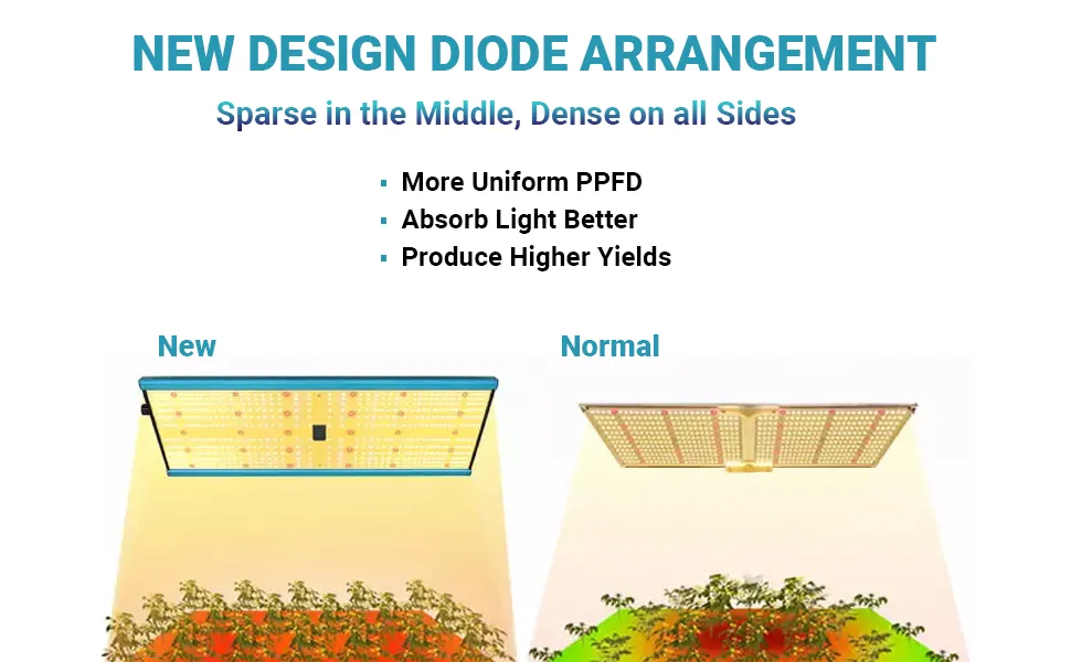 artificial light for succulents