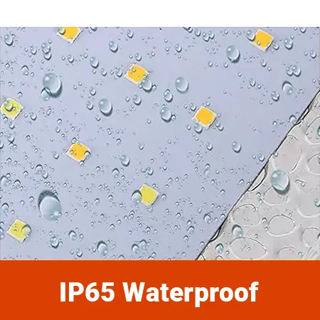 bestes günstiges Wachstumslicht für Setzlinge