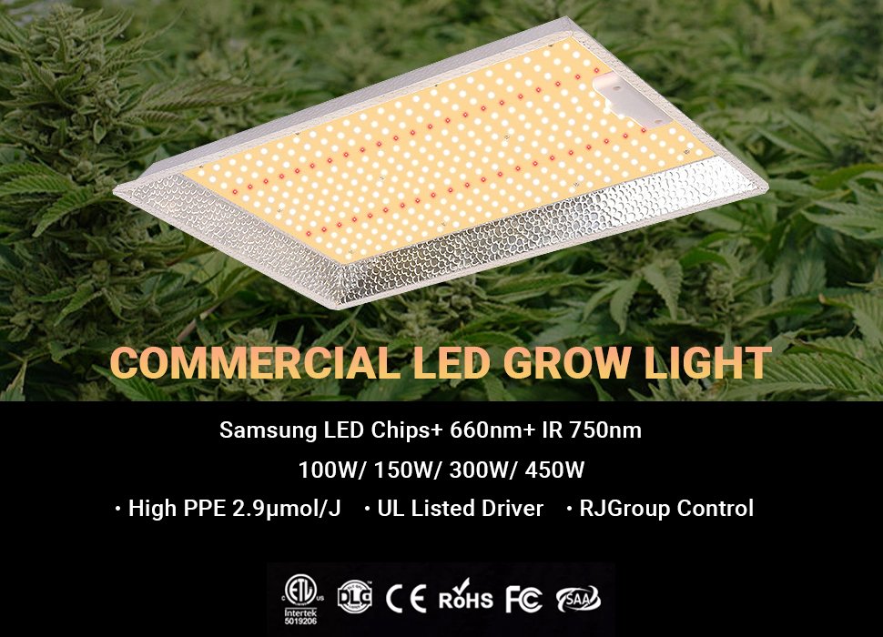 best led grow lights for cannabis 2022