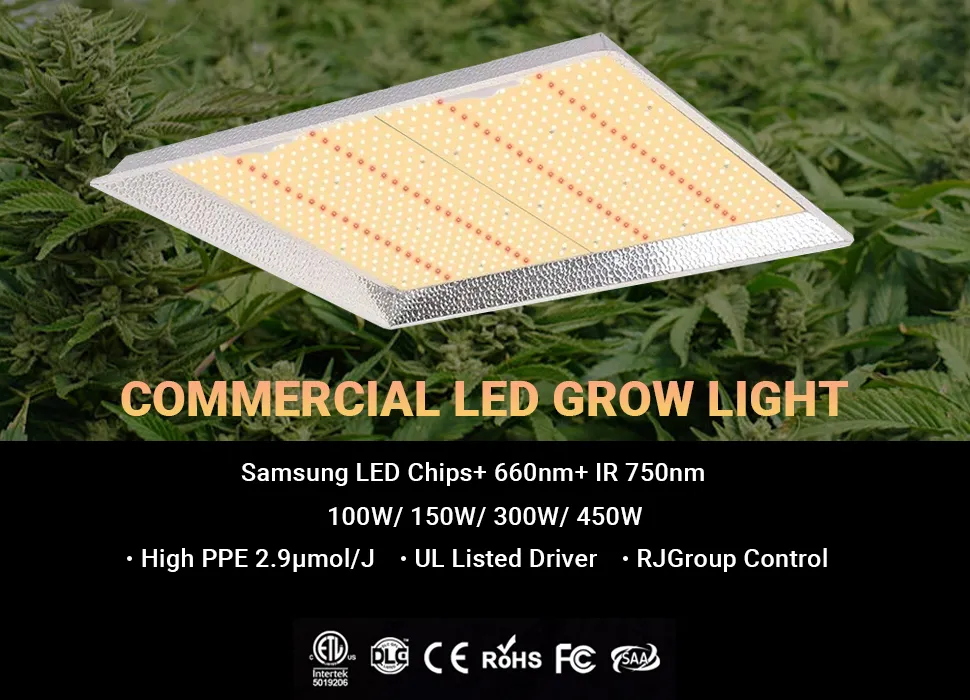 commercial greenhouse lighting