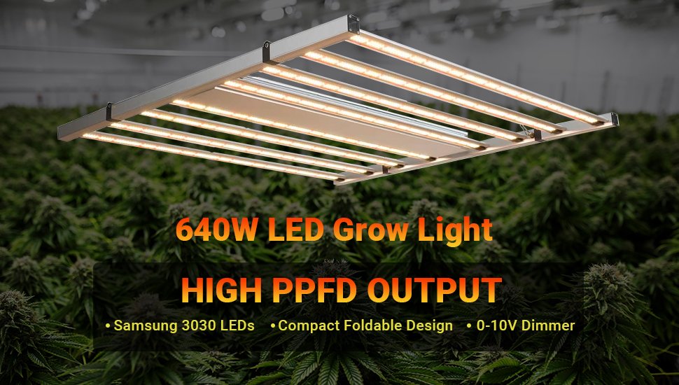 commercial greenhouse lighting