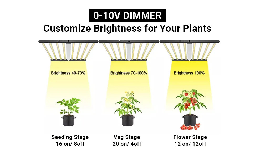 grow light for hanging plants