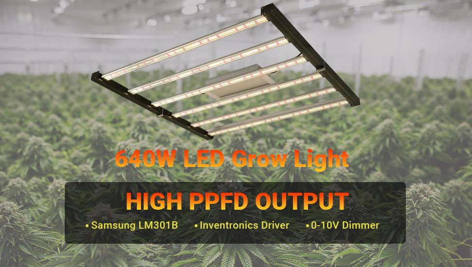 grow light kits for indoor plants