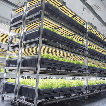 hydroponic equipment supplier