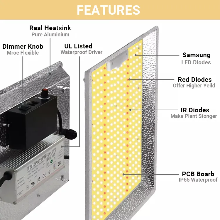 indoor LED grow lights