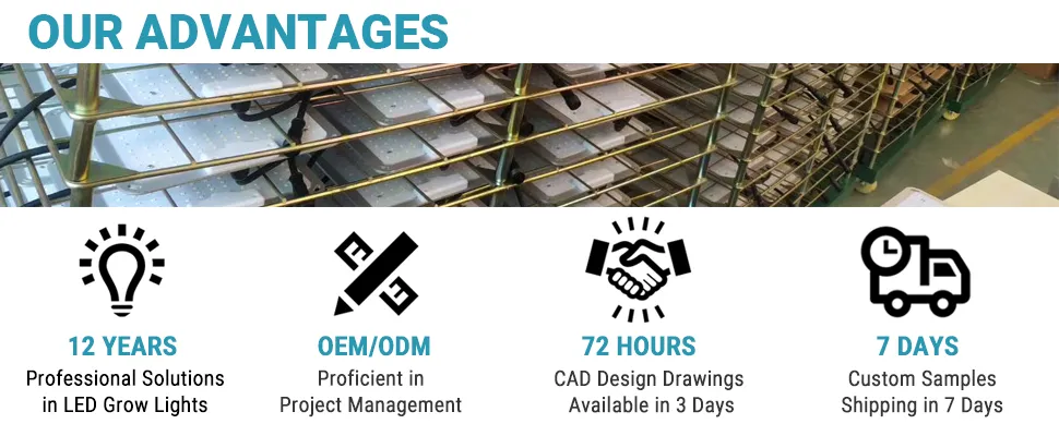 indoor greenhouse grow light