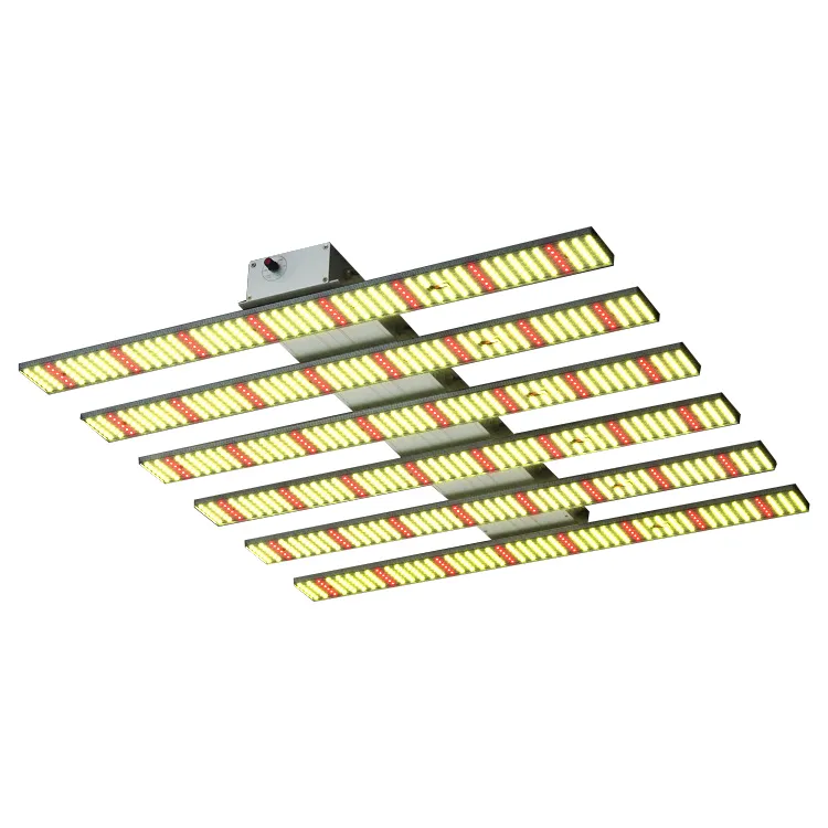 indoor grow tent lights