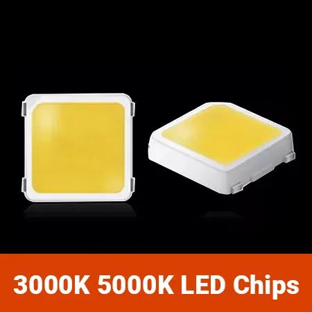 LED-Wachstumslichter für den Samenstart