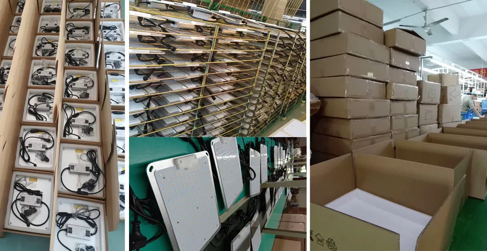 led plant grow light supplier