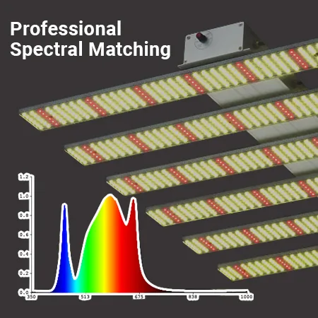 Luci per giardino verticale