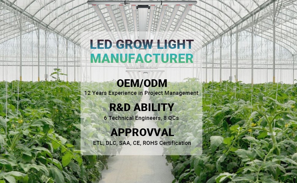 plant light supplier