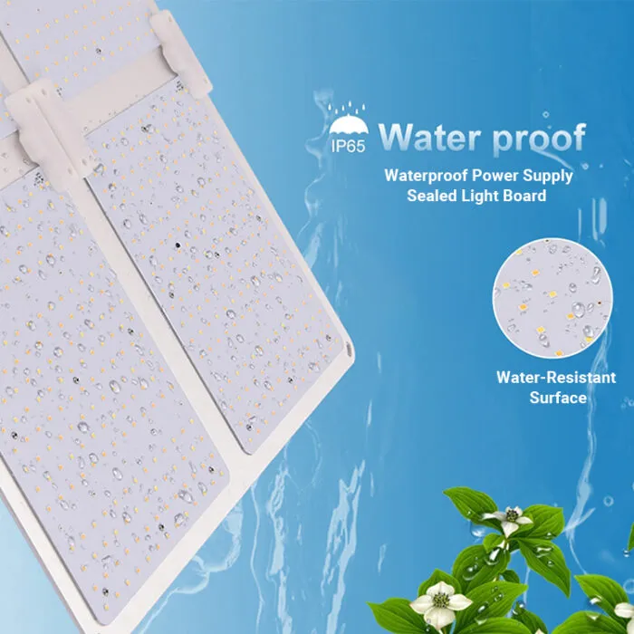 luzes de crescimento quântico