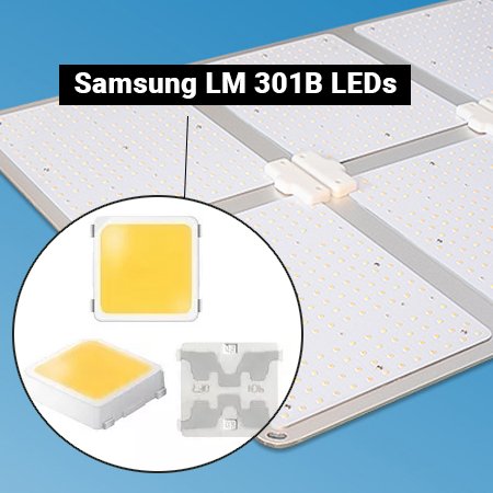 samsung quantum board