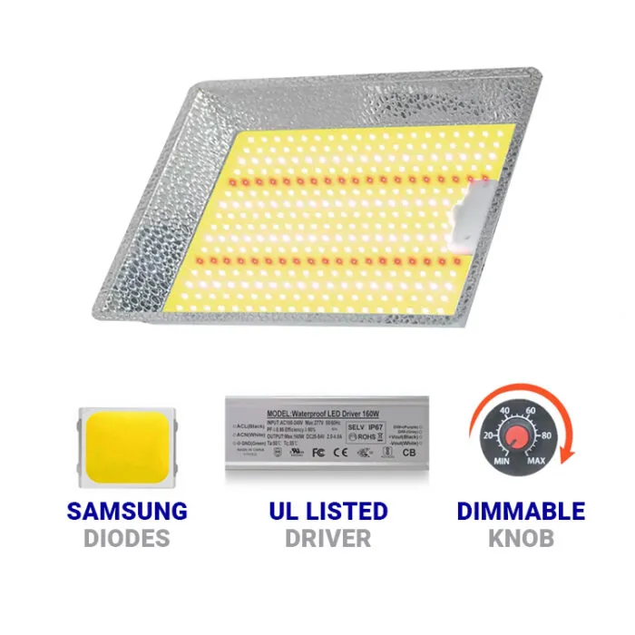Sämlings-LED-Wachstumslicht