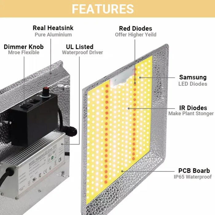 kleines Zimmerpflanzenlicht