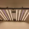 LED hydroponic lights