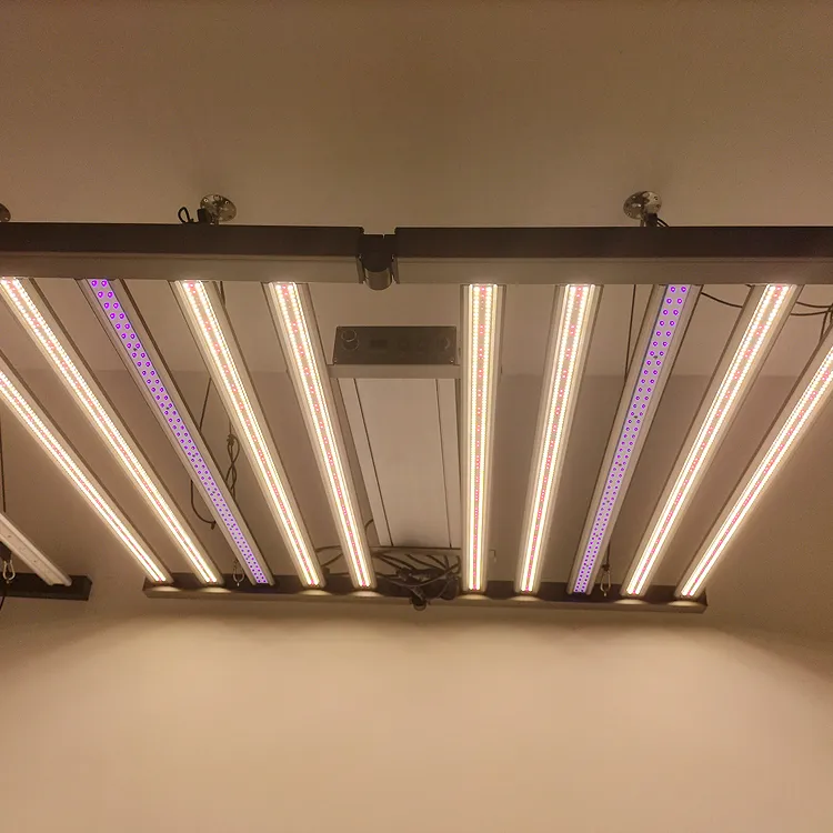 LED hydroponic lights