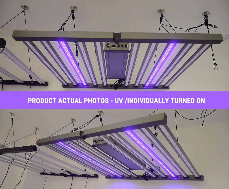 Reasons to choose UV plant light to grow cannabis Auxgrow