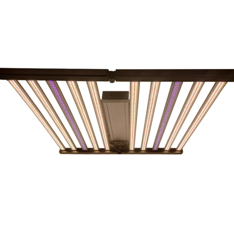 houseplant grow light