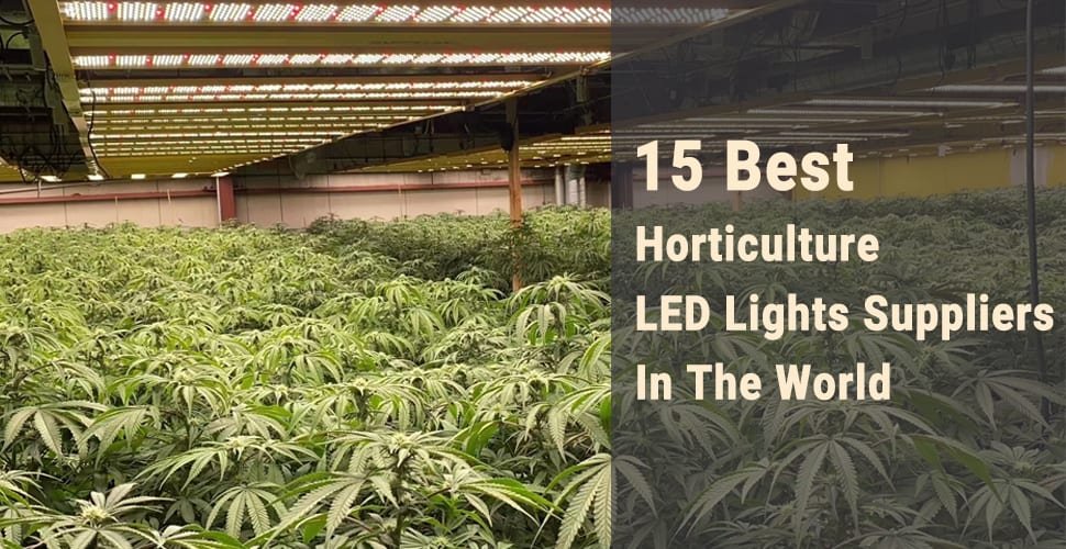 indoor LED grow light manufacturers