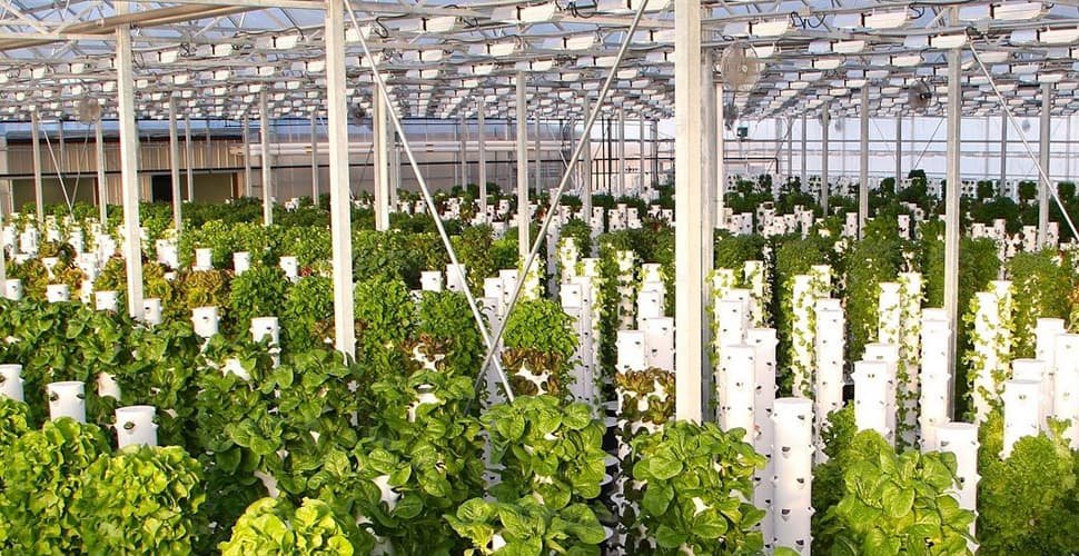 You are currently viewing Top 10 Hydroponic Equipment Manufacturers in the World