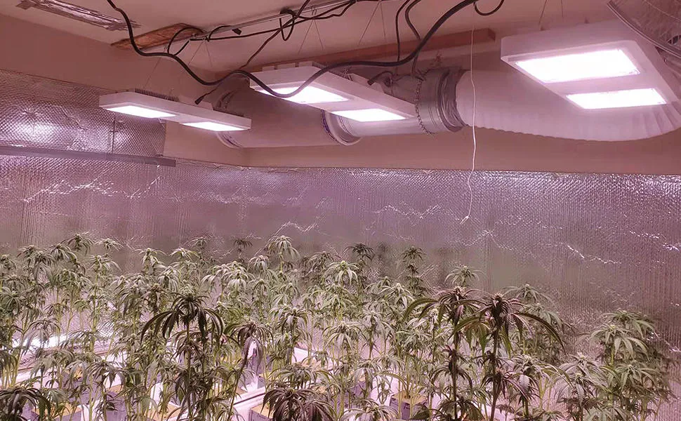 1000w HPS LED-vervanging