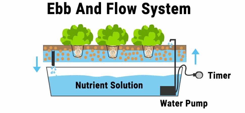 Ebb And Flow System