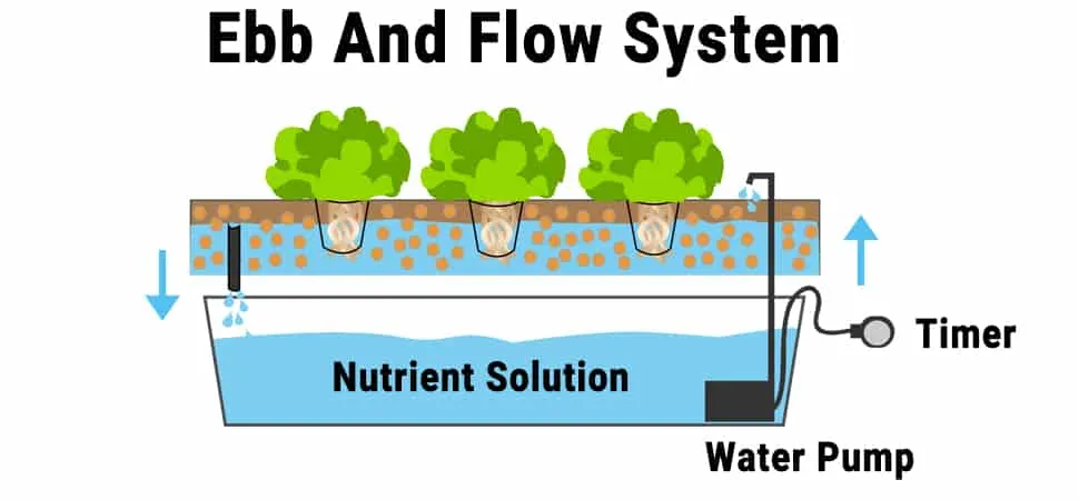 Ebb Og Flod System