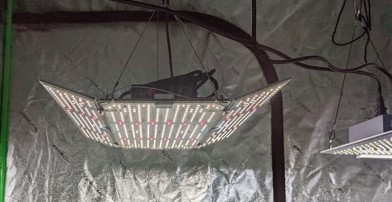 How To Clean LED Grow Lights?