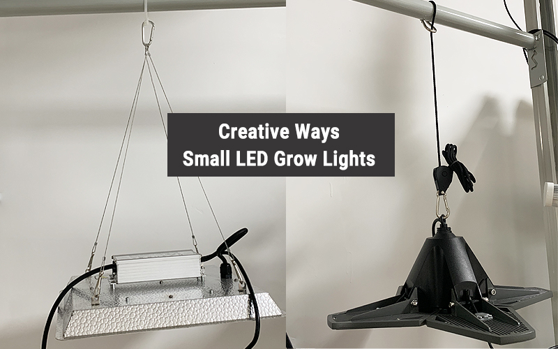 How To Hang Indoor Grow Lights For Plants 